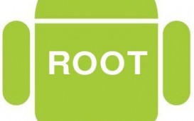  root 